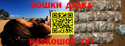 гидра Новодвинск