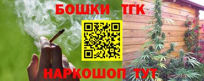 гидра Новодвинск