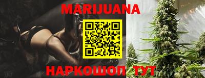 гидра Новодвинск