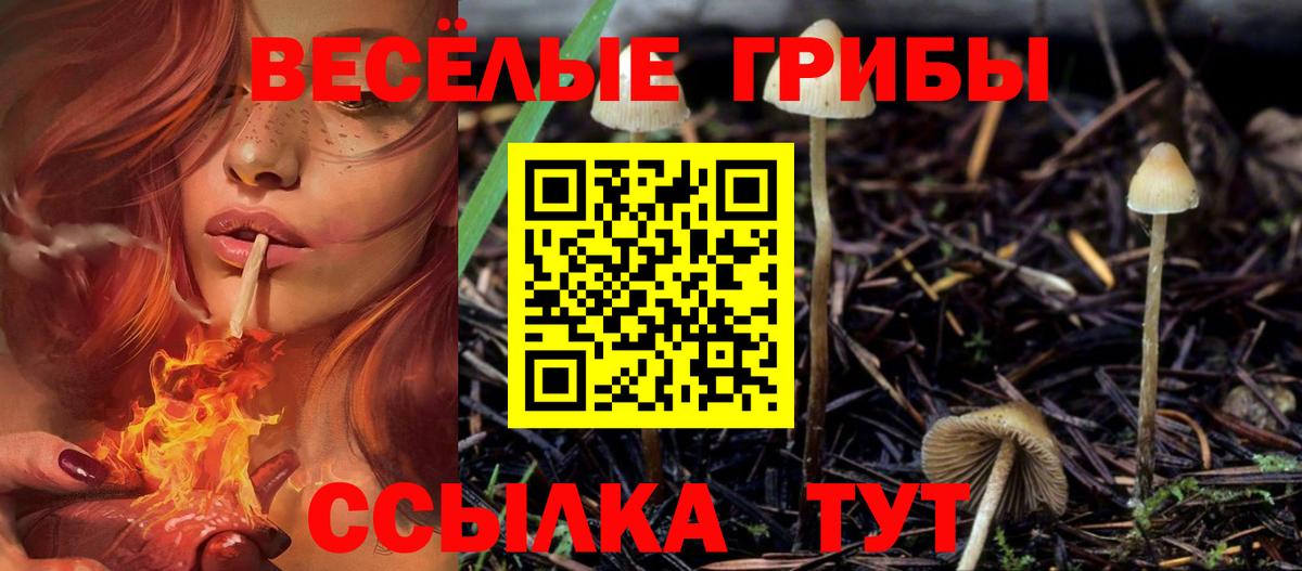 Галлюциногенные грибы мухоморы  Вход с VPN  Тосно 