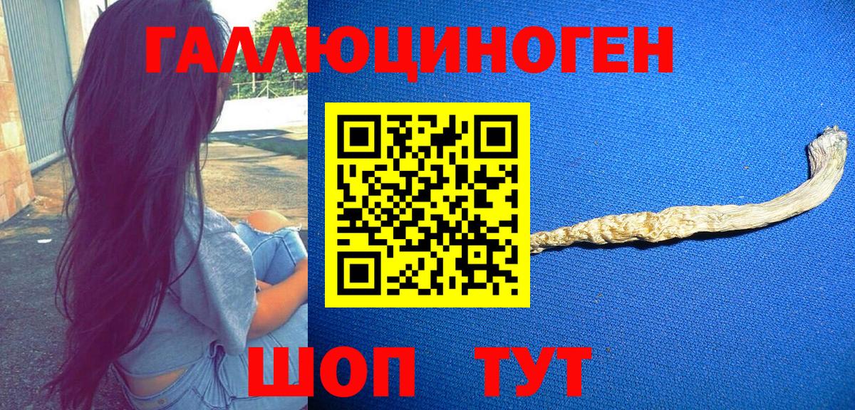 Галлюциногенные грибы GOLDEN TEACHER Тосно