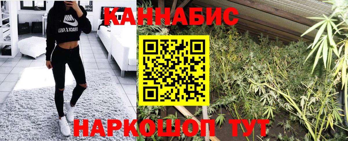 Шишки марихуана планчик  Бошки Шишки LSD WEED  Вход с VPN  МАРИХУАНА гибрид  Тосно 